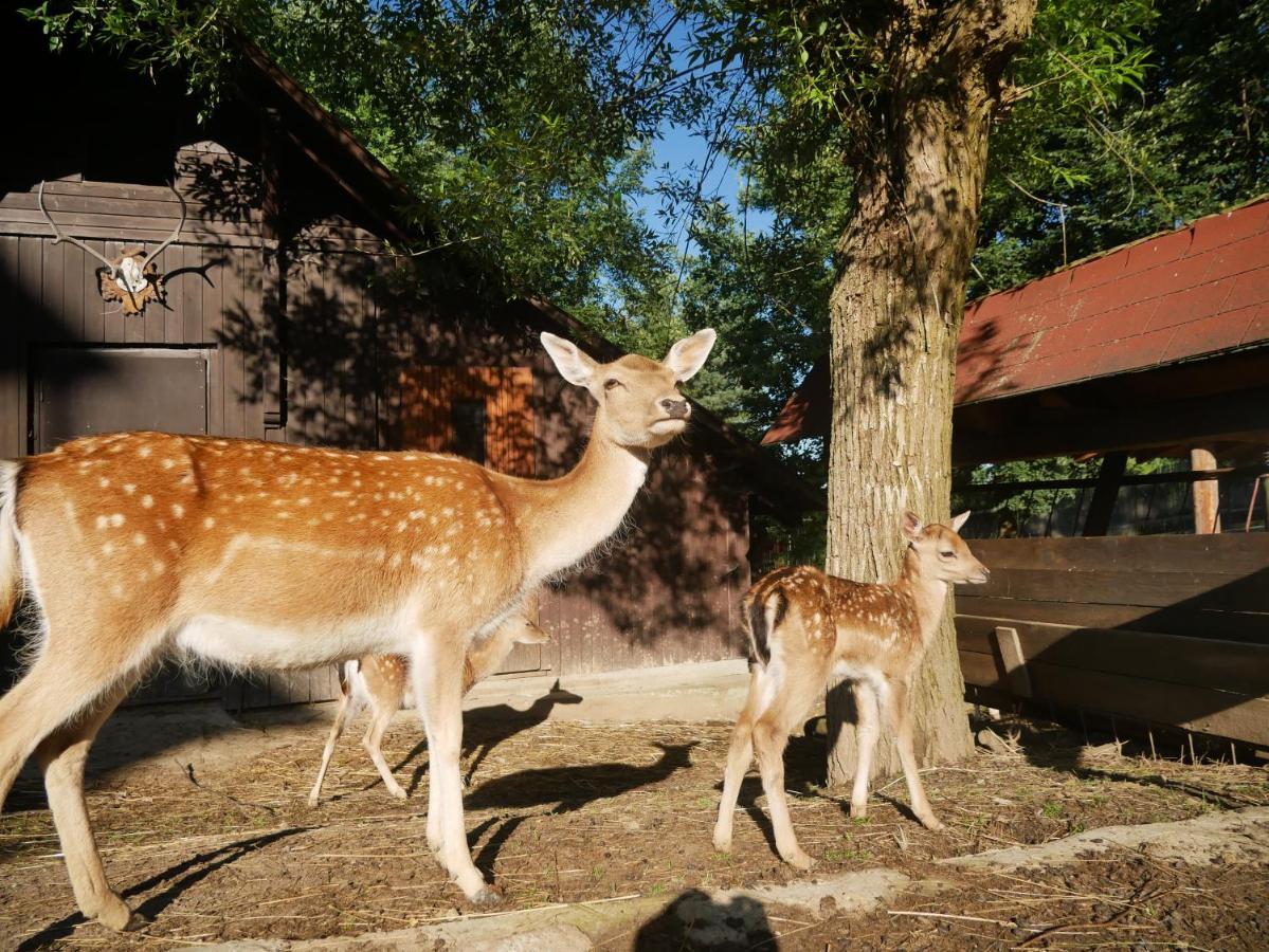 Penzion Obora Prostrední Becva Exterior foto