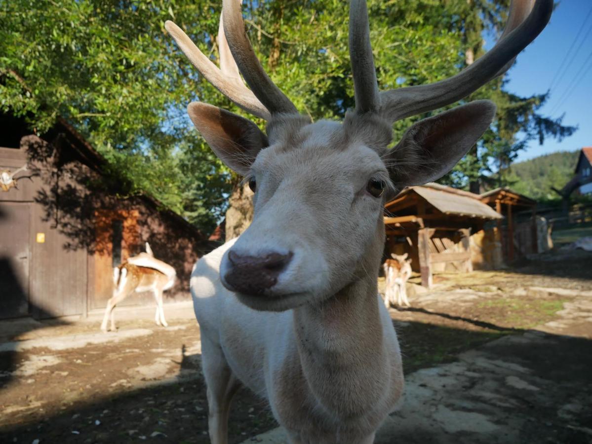 Penzion Obora Prostrední Becva Exterior foto