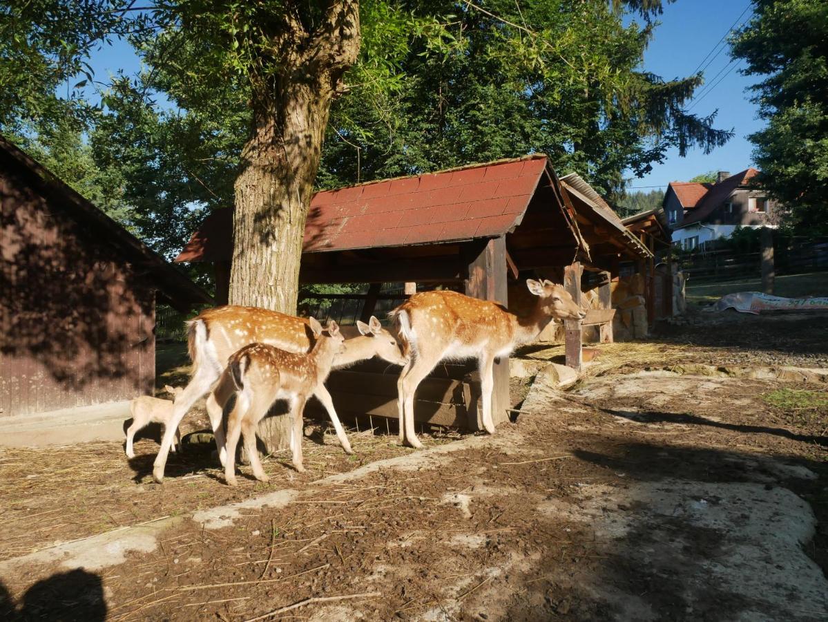 Penzion Obora Prostrední Becva Exterior foto