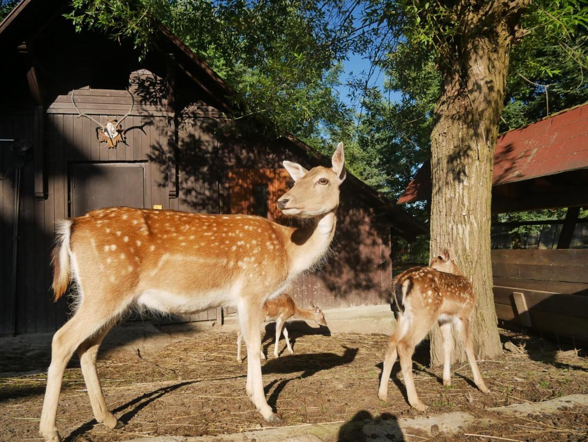 Penzion Obora Prostrední Becva Exterior foto